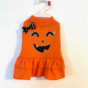 Thrills & Chills Pet Pumpkin Costume - Size XS